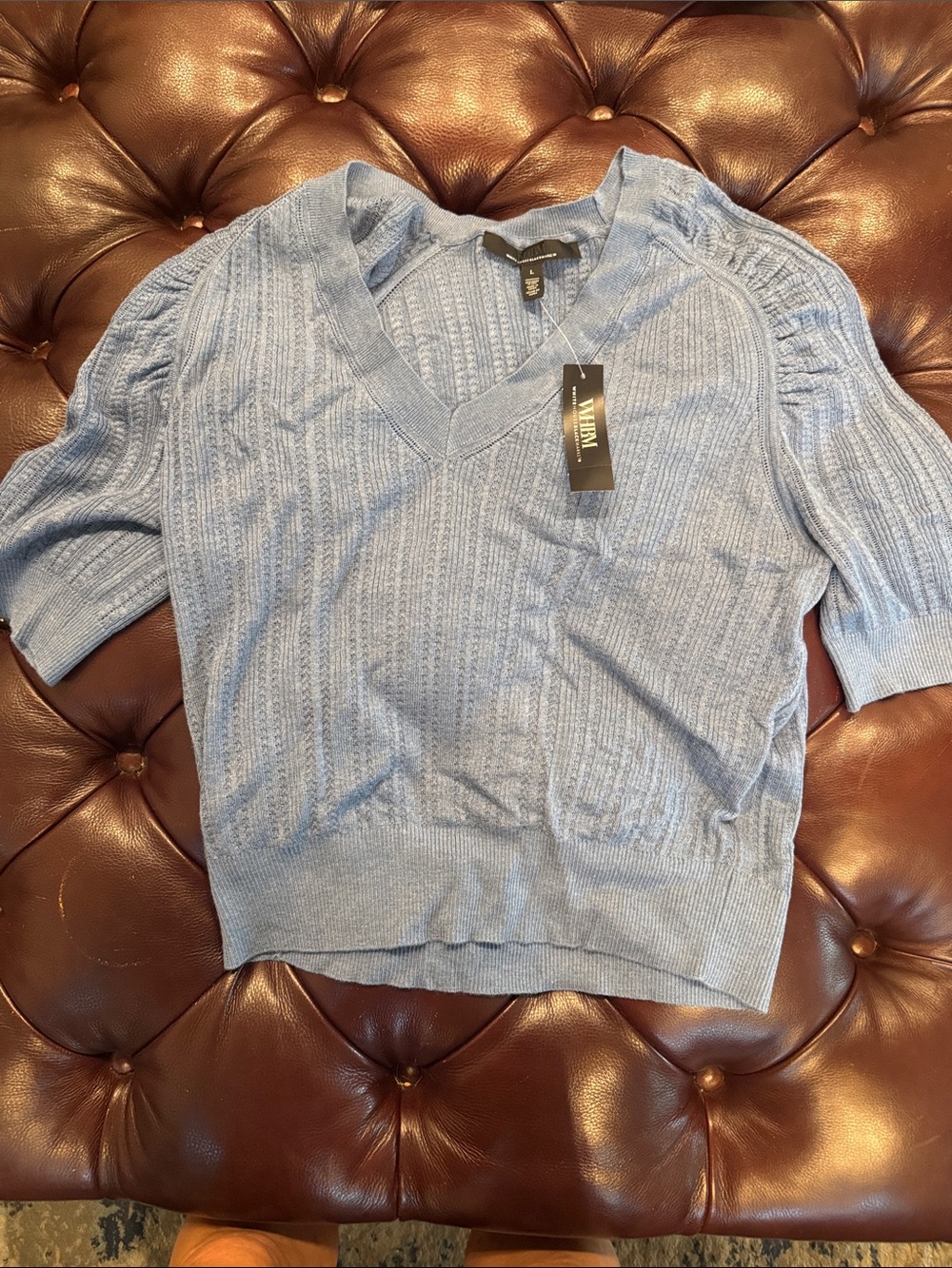 White House Black Market Light Blue V-Neck Short Sleeve Knit Sweater